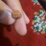 فروش انواع سنگ قیمتی از یشمس الماس یاقوت شهاب سنگ